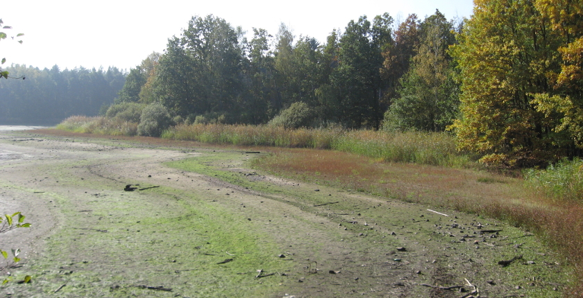 Wüstung Nennewitz Wermsdorfer Wald Freilichtmuseum